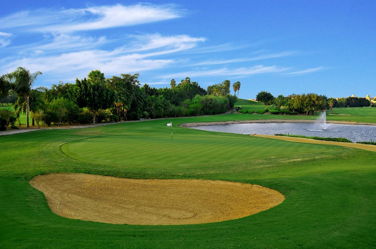 انطلاق بطولة مصر المفتوحة للرجال وبطولة الناشئين والسيدات بالقاهر (3)