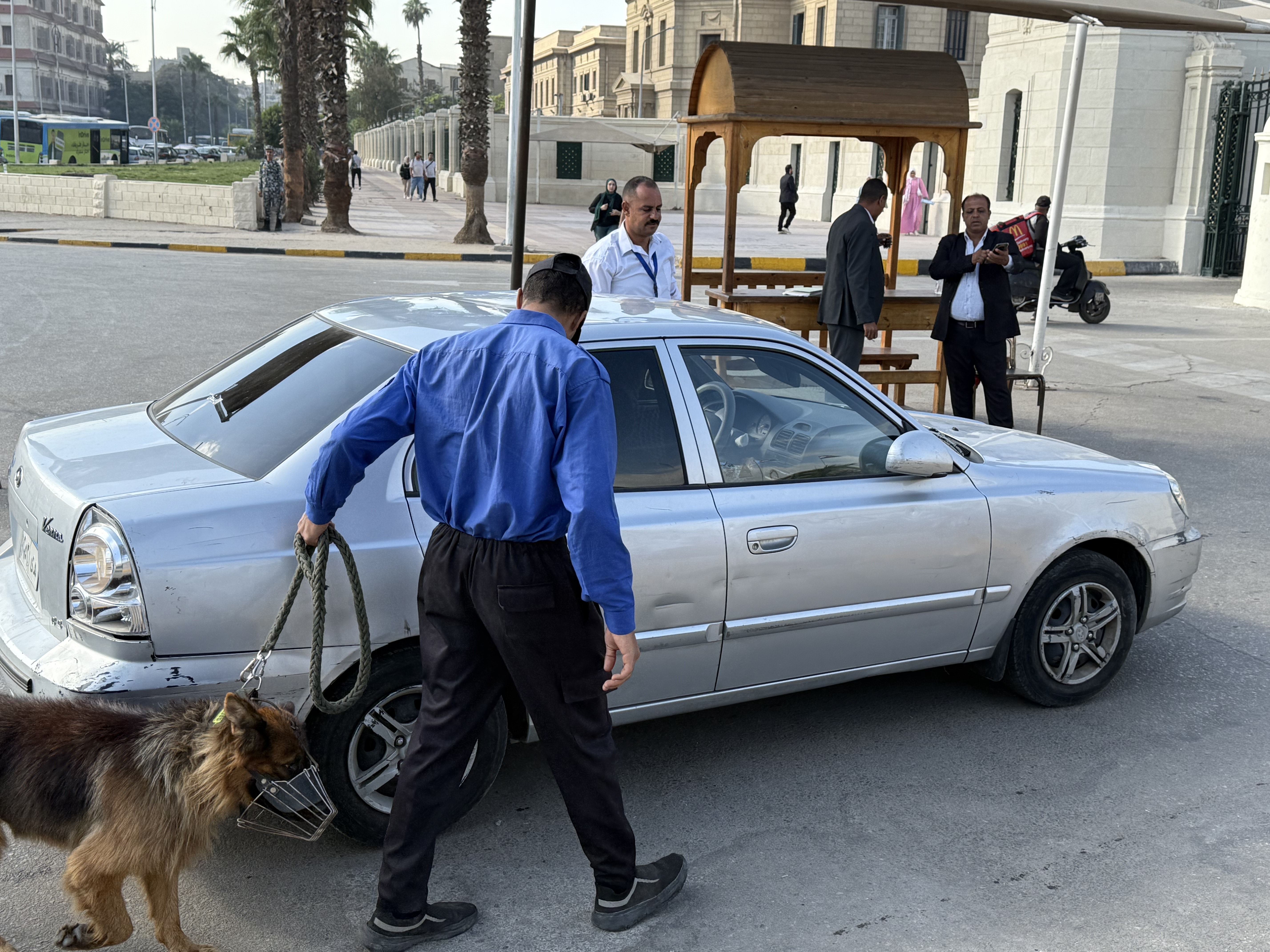 فحص السيارات باستخدام الكلاب البوليسية