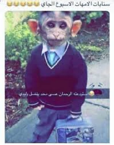 تريند القرود