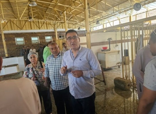 الحملات التموينية على أسواق الأقصر