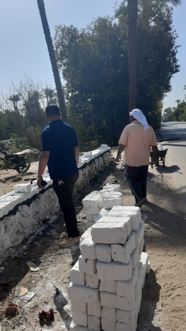 تجميل شوارع وطرق أسيوط (10)