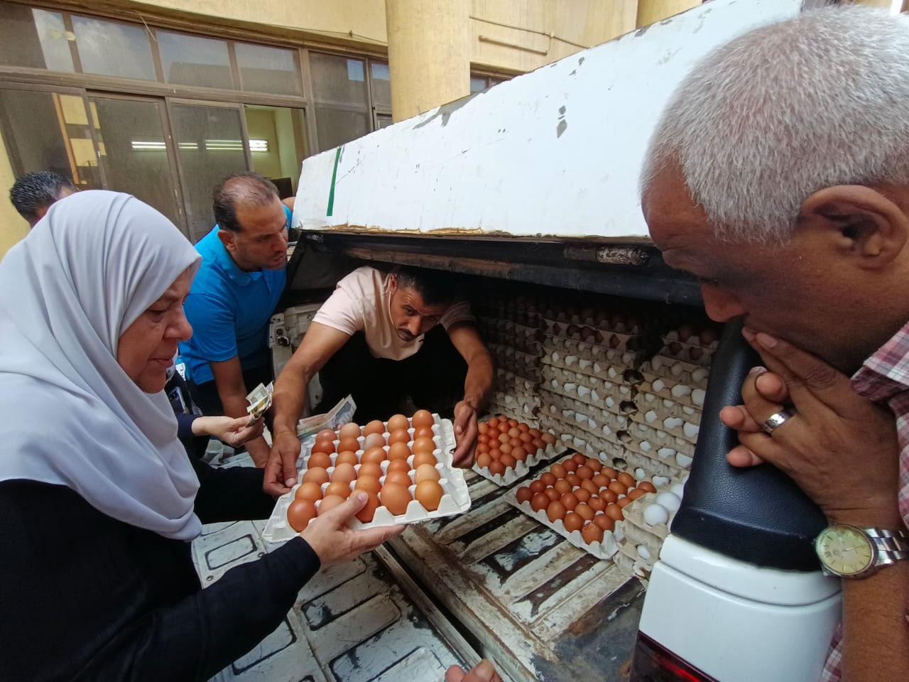 سيدة تشترى بيض المائدة سيدة تشترى بيض المائدة