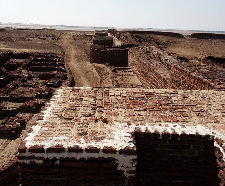 مدينة الفرما 15 مدينة الفرما 15