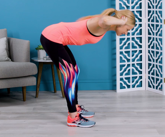 الطائر العكسي