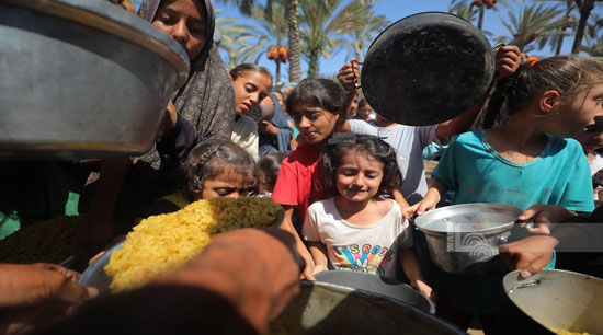 معركة الأوانى للحصول على الطعام