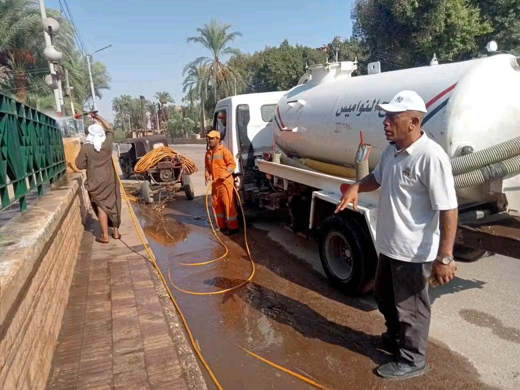 تجميل شوارع وطرق أسيوط (4)