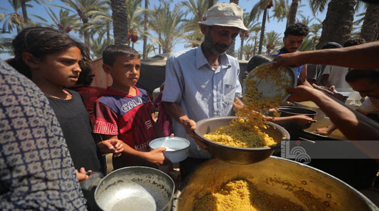 حساء العدس الوجبة الوحيدة فى قطاع غزة