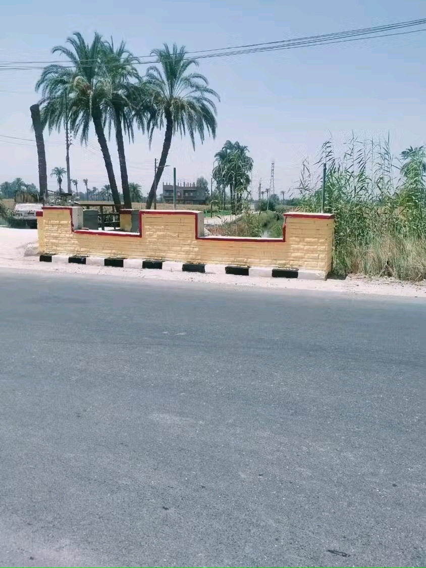 تجميل شوارع وطرق أسيوط (3)