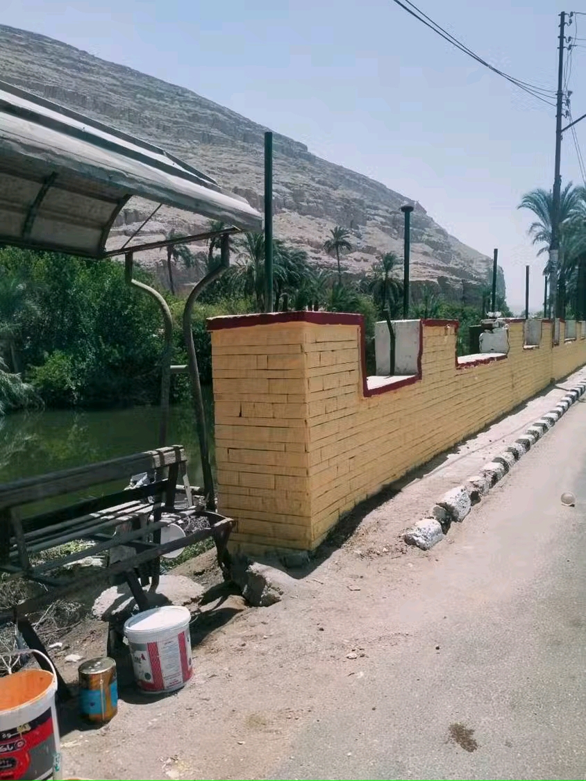 تجميل شوارع وطرق أسيوط (7)