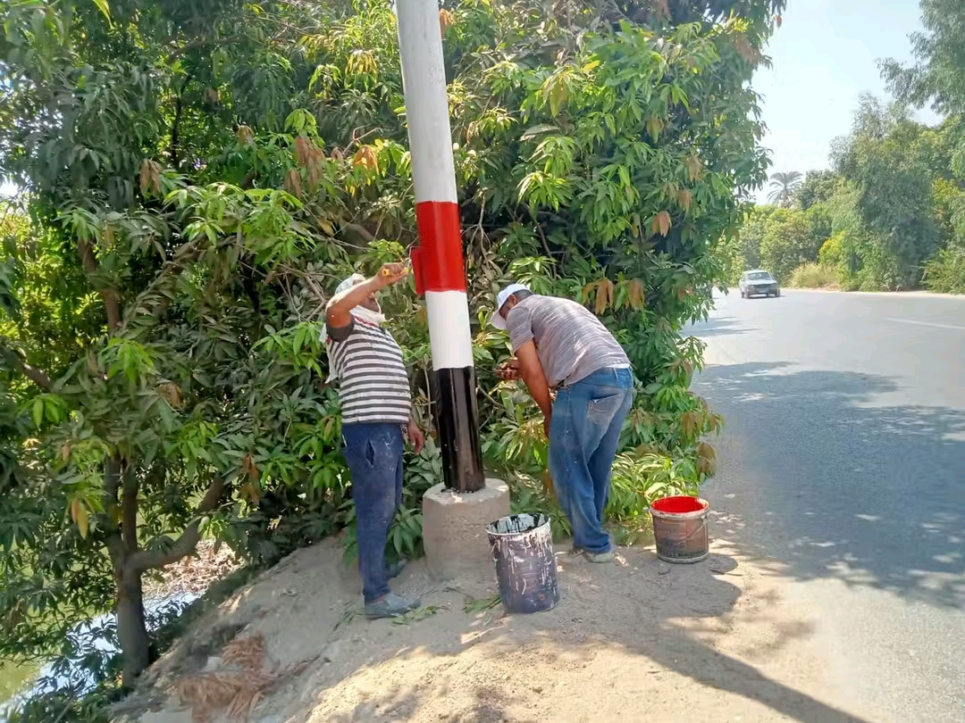 تجميل شوارع وطرق أسيوط (1)