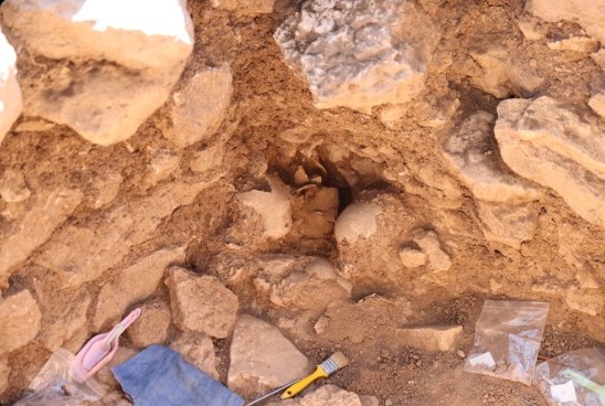 جماجم بشرية