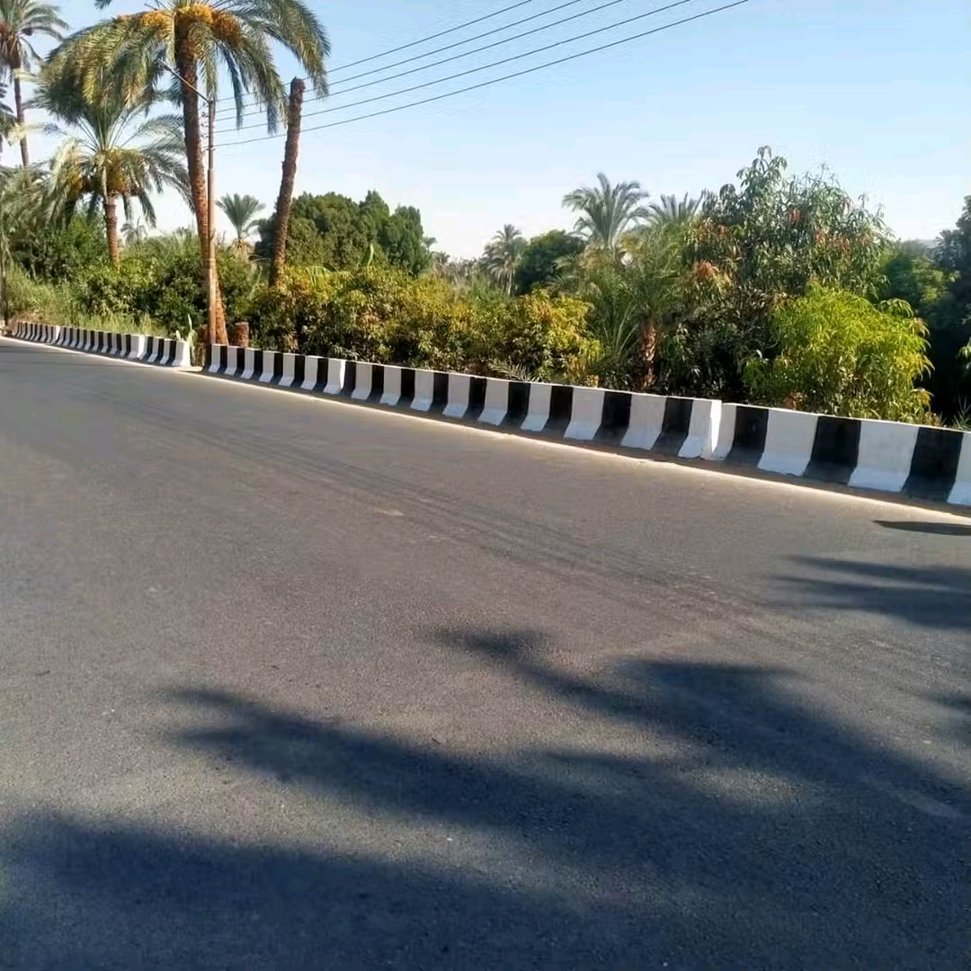 تجميل شوارع وطرق أسيوط (8)