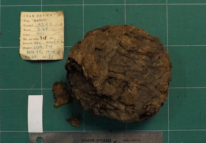 كرة مطاطية كرة مطاطية