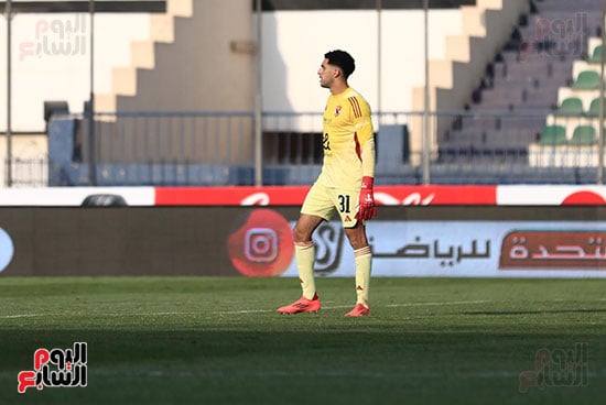مصطفى شوبير