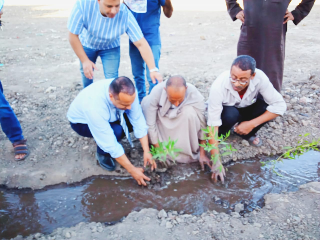 مبادرة لتنظيف وتشجير القرية