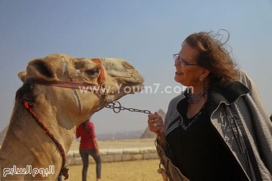 كلوديا كاردينالى كلوديا كاردينالى