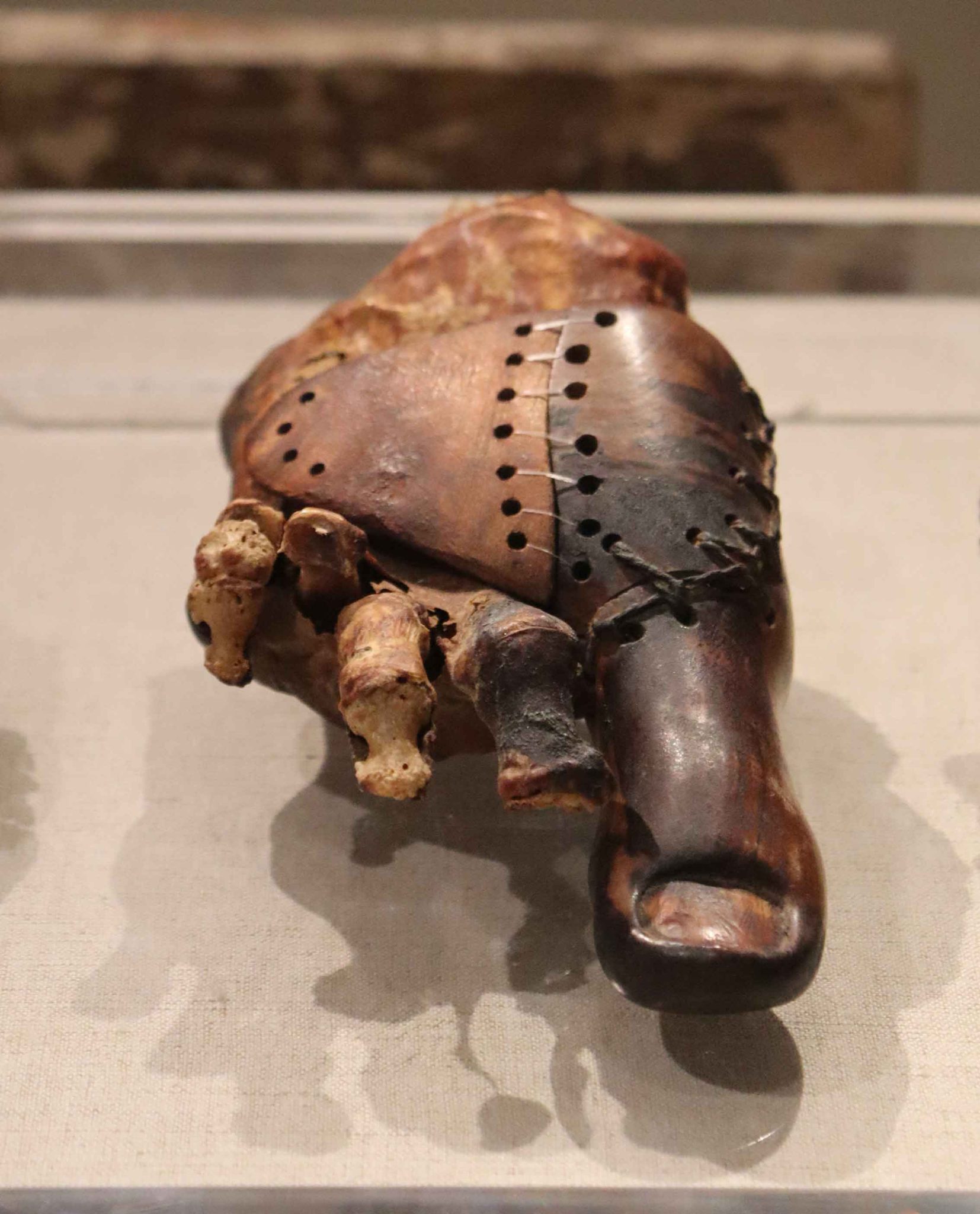 الطرف الصناعي لتاباكت إن موت