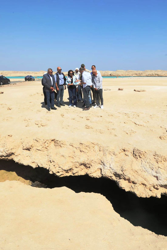 رأس محمد جولة منال عوض