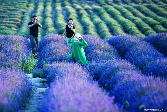 التقاط الصور التذكارية