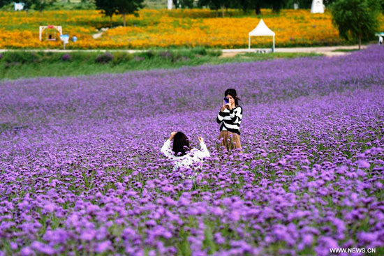 استمتاع الأطفال بزهرة اللافندر