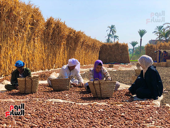 فتيات يعملن باليومية