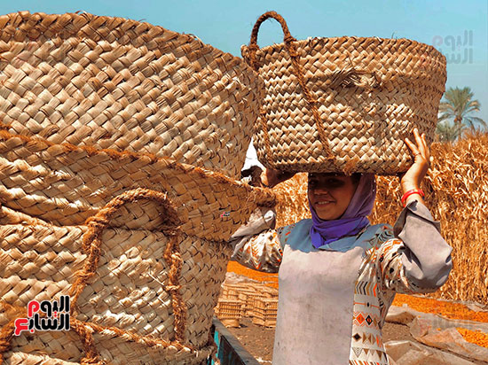 ملك عاملة باليومية