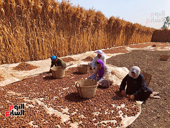 العمل من أجل لقمة العيش