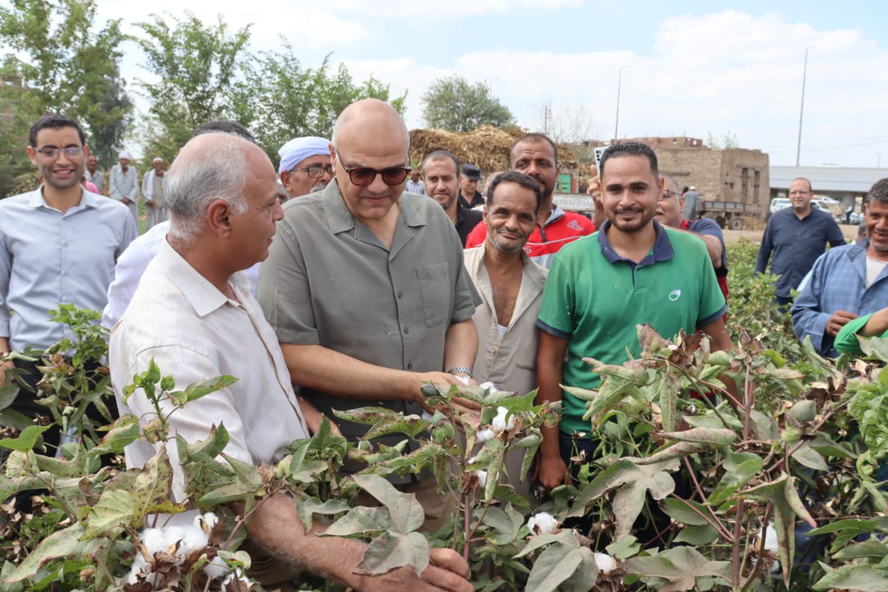 المحافظ يتفقد مزارع القطن