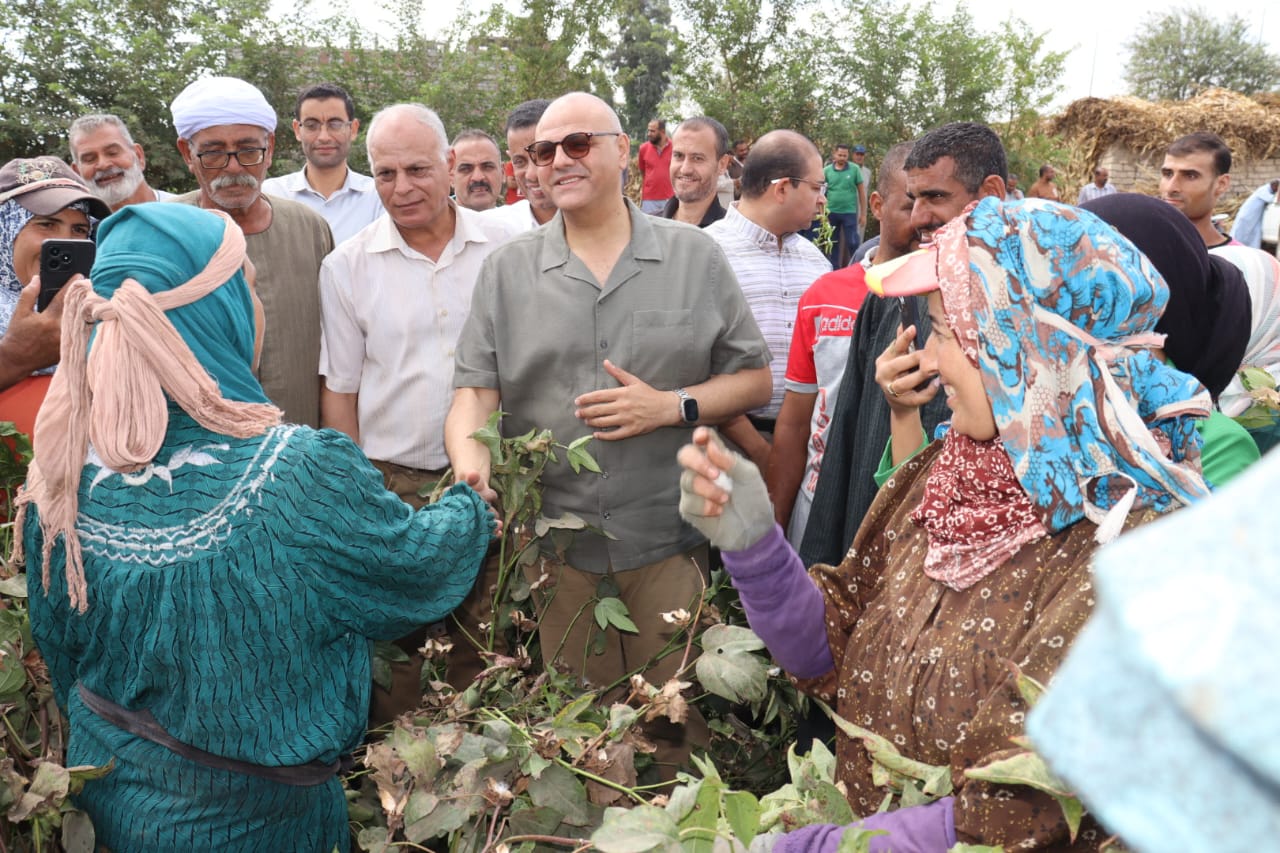 فرحة الحصاد