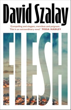 Flesh_Book Jacket_resized for web