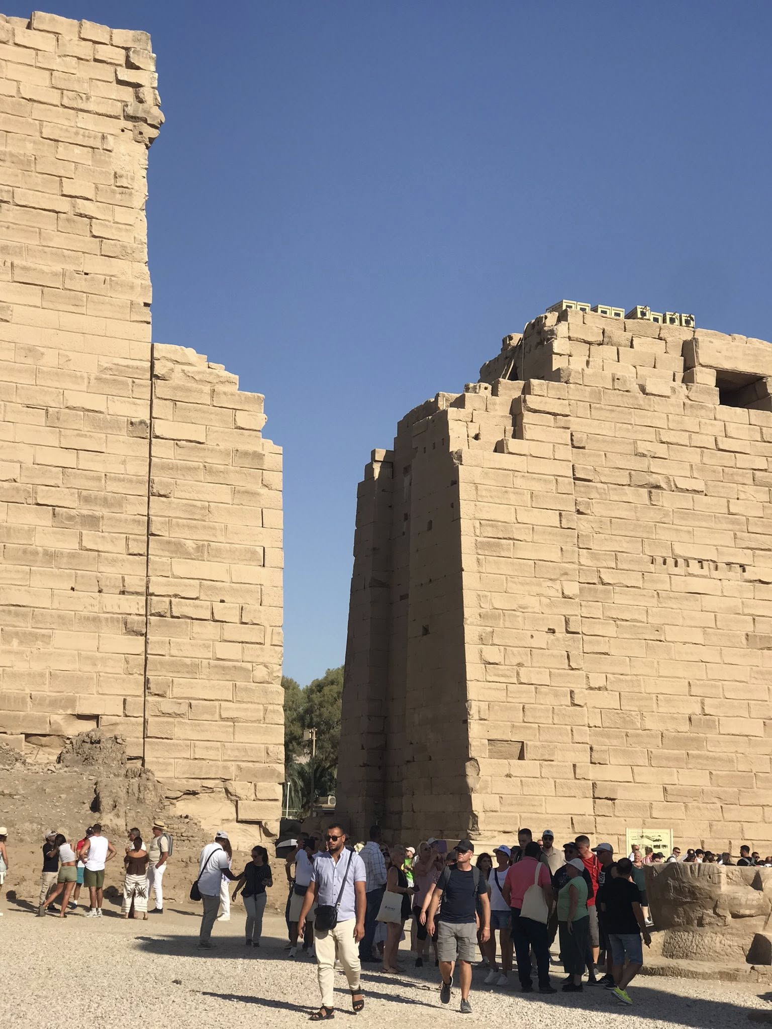 التوافد السياحي المميز فى معابد الأقصر التوافد السياحي المميز فى معابد الأقصر