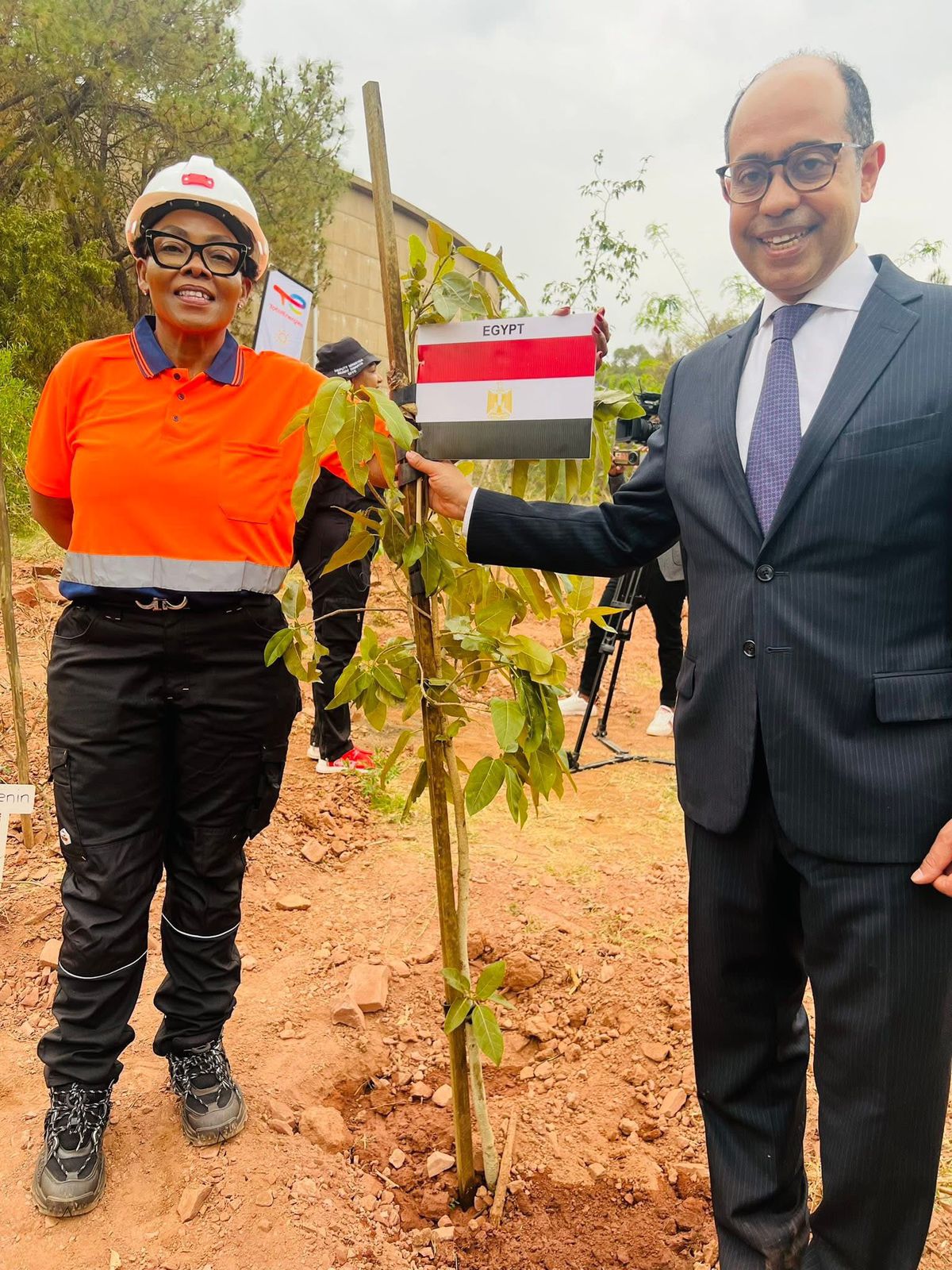 شجرة باسم مصر في حديقة الحرية في بريتوريا