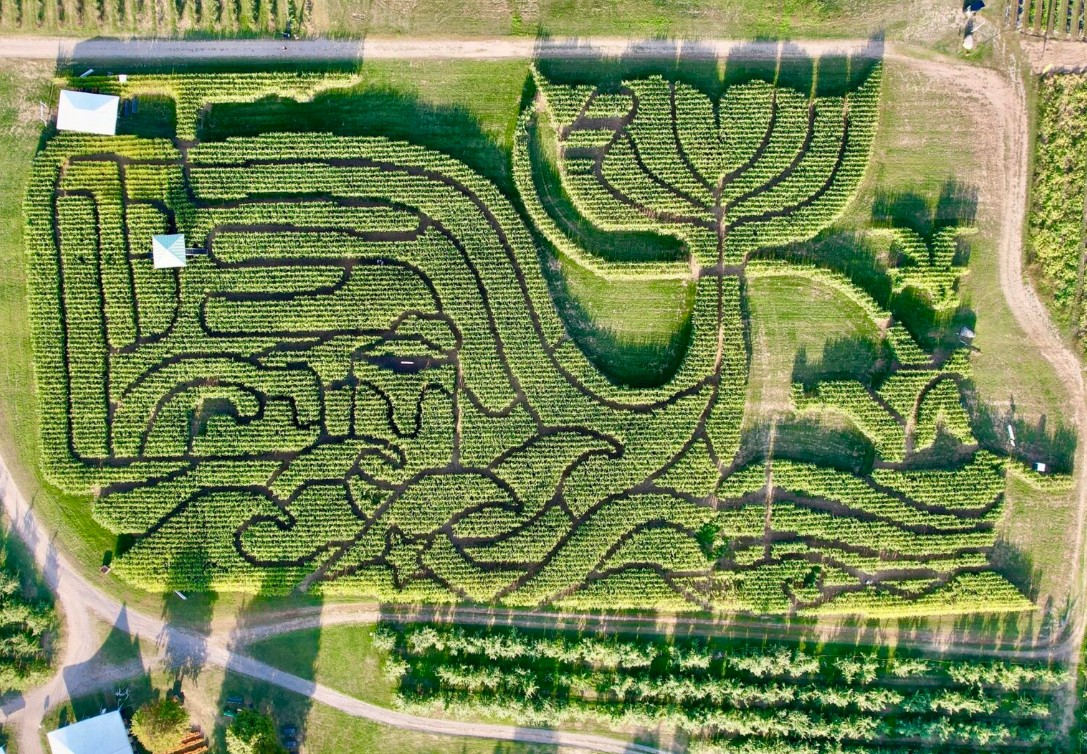 المزرعة الفائزة