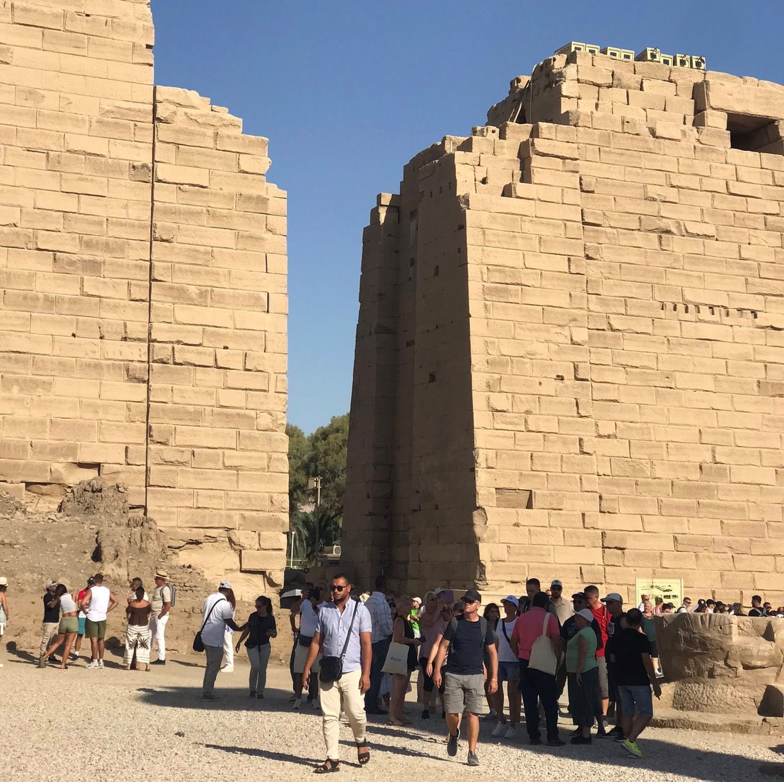 التوافد السياحي المميز فى معابد الأقصر_1