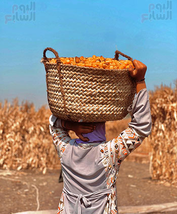 فتاة تعمل باليومية