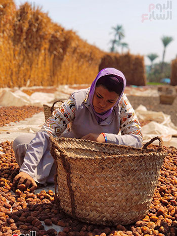 رحمة تتحمل رغم قسوة التعب 