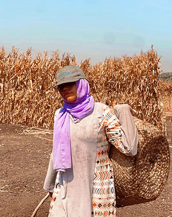 كفاح ملك فى الحقول