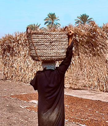 عاملات-اليومية-(14)