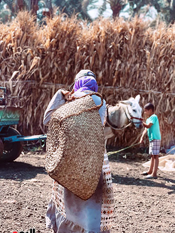 رحمة أثناء عملها