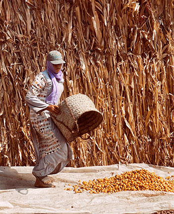 رحمة عاملة باليومية فى البدرشين