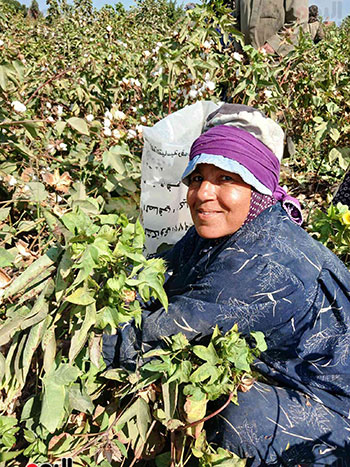 عاملات-اليومية