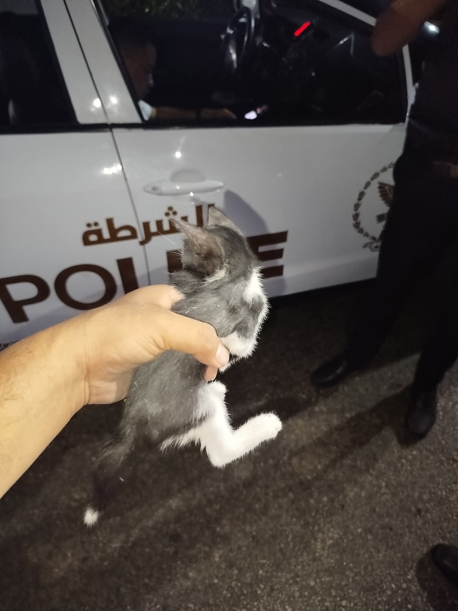 رجال الشرطة أثناء عملية إنقاذ قطة صغيرة من داخل عمود إنارة (1)