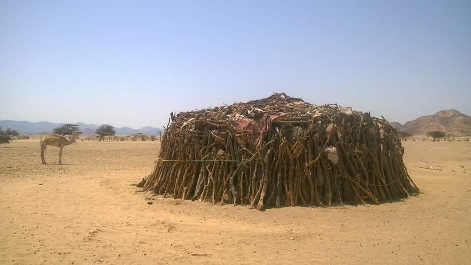 يفرش بالصوف لاستقبال الضيوف 