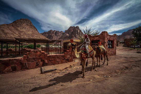 السياحة فى سانت كاترين ركوب الجمل