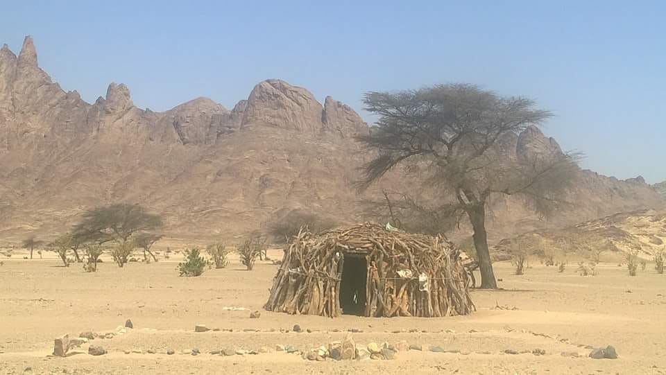 استقبال الضيوف فى أودية حلايب وشلاتين