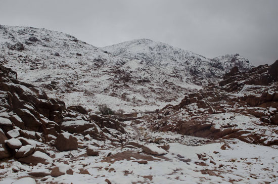 الثلج فى جبال سات كاترين