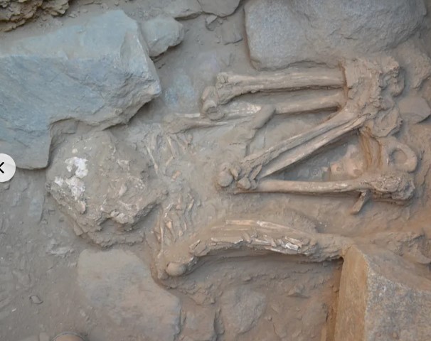 اكتشاف مقبرة فى بيرو 