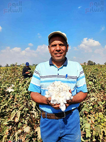 المهندس-حسين-الجوهرى-مدير-الجمعية-الزراعية-بقرية-دعبس