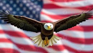 النسر الامريكي