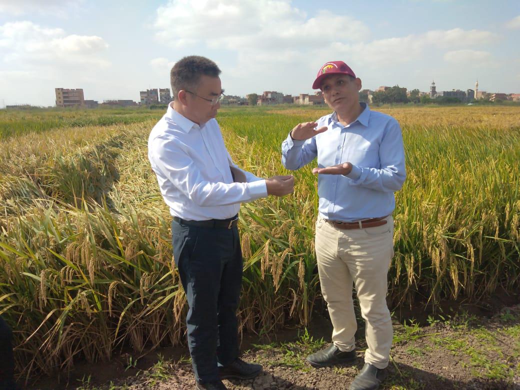 زيارة الوفد الصيني (1)